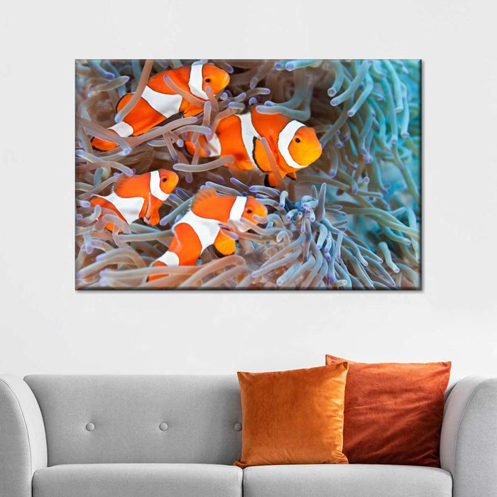 Clown Fish Wall Art