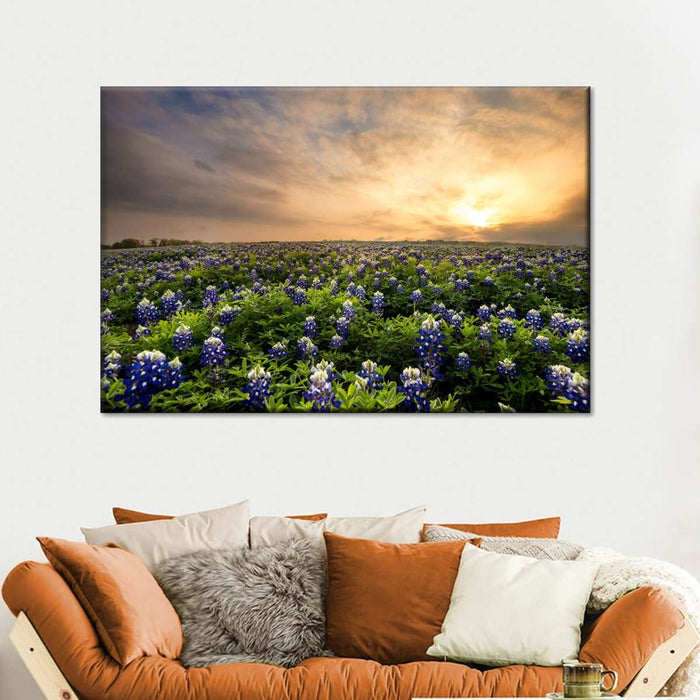 Bluebonnets At Sunset Wall Art