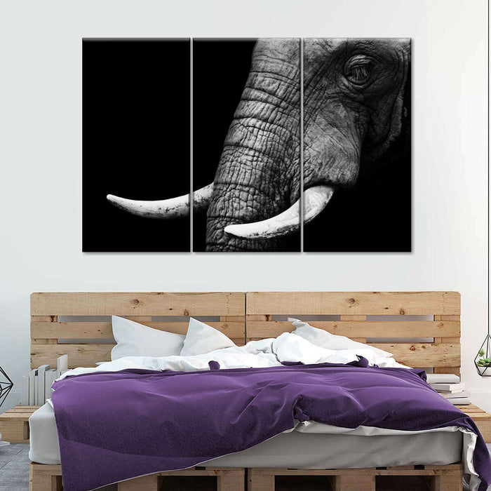 Elephant Close Up Wall Art