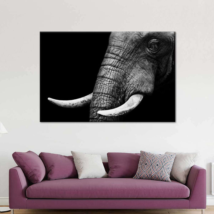 Elephant Close Up Wall Art