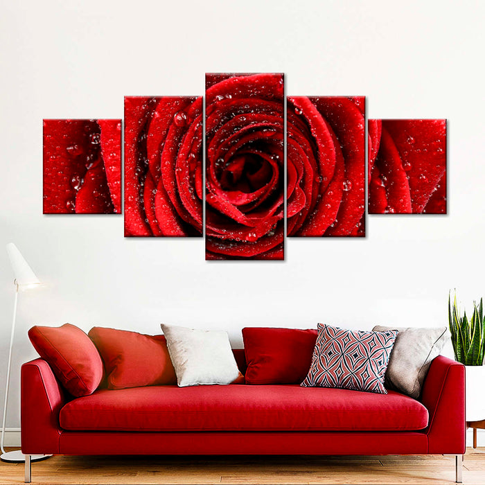 Damp Red Rose Wall Art