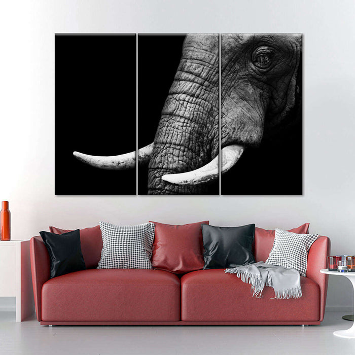 Elephant Close Up Wall Art