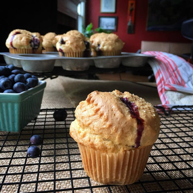 gfJules gfJules Gluten Free Muffin Mix