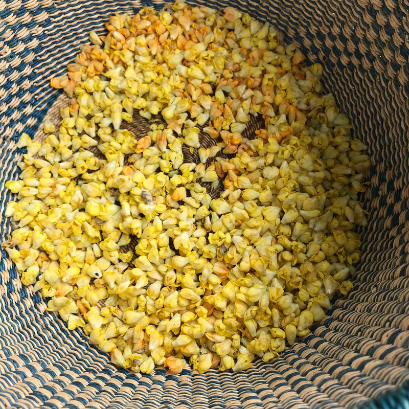 Rooted Earth Farm + Apothecary Garlic and Mullein Ear Oil Under Eye + Ear Care