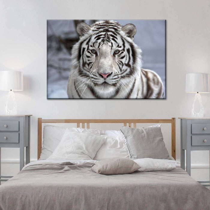 Endangered White Tiger Wall Art