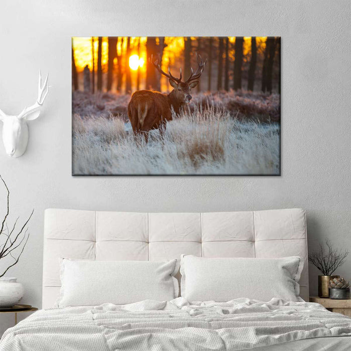 Forest Deer Hunting Wall Art