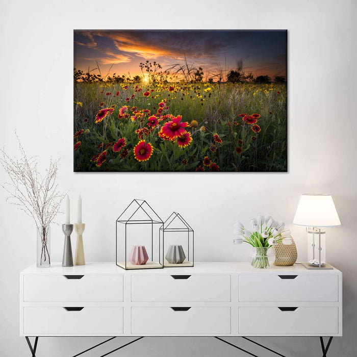 Dawn At Flower Field Wall Art