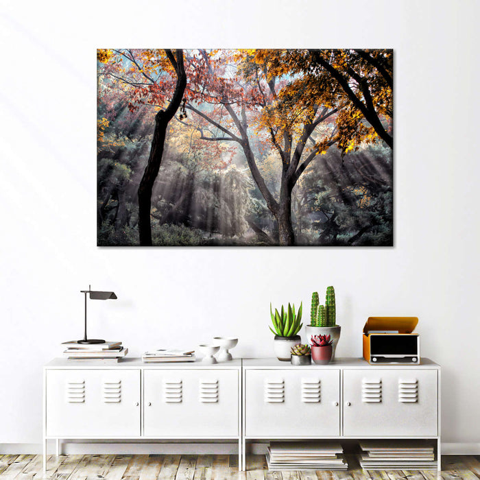 Forest Sun Rays Wall Art