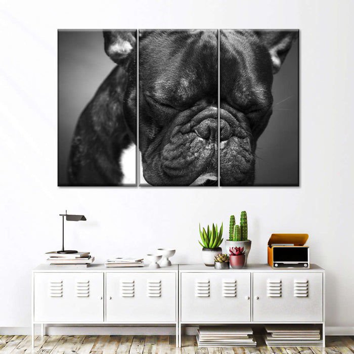 Melancholic French Bulldog Wall Art