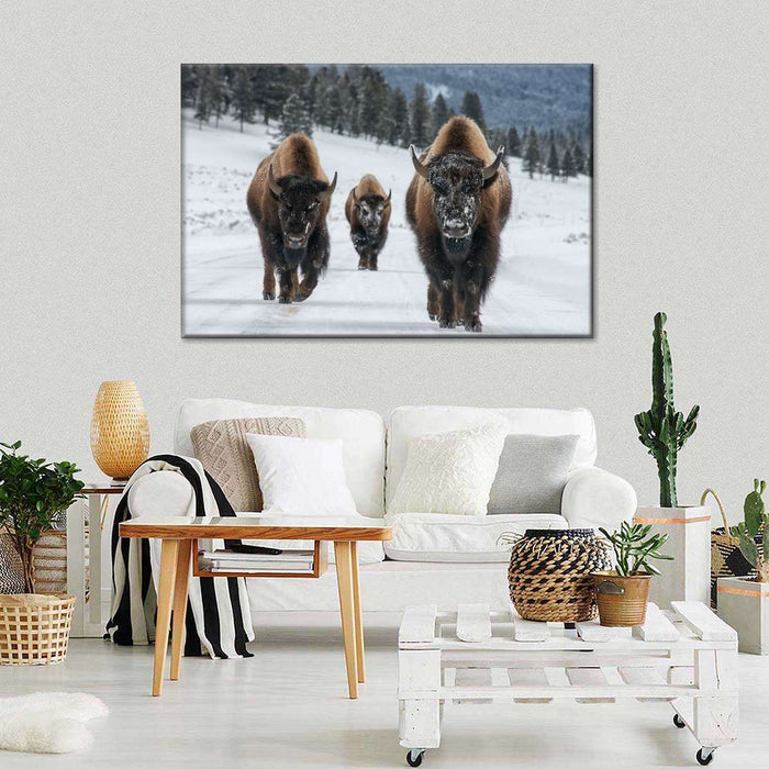 Bison Family In Yellowstone National Park Wall Art