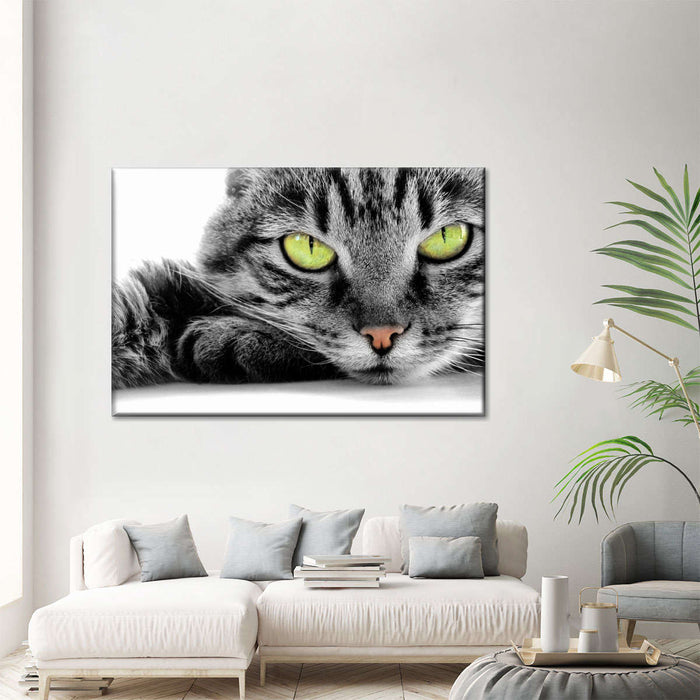 Green Eyed Cat Wall Art