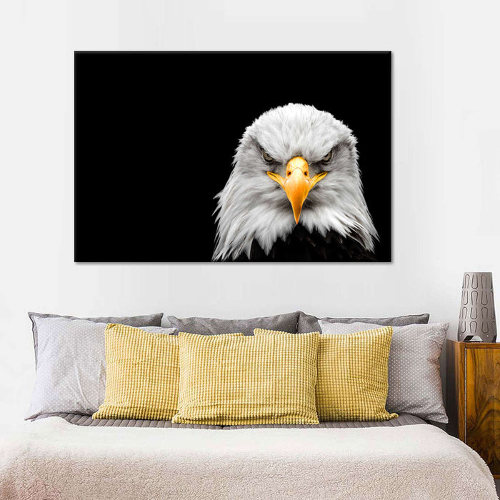 Angry Bald Eagle Wall Art