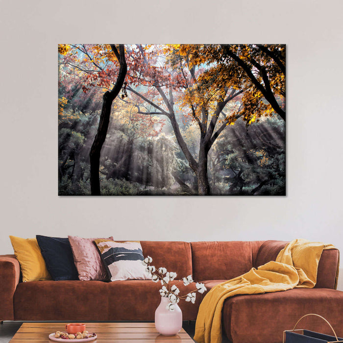 Forest Sun Rays Wall Art