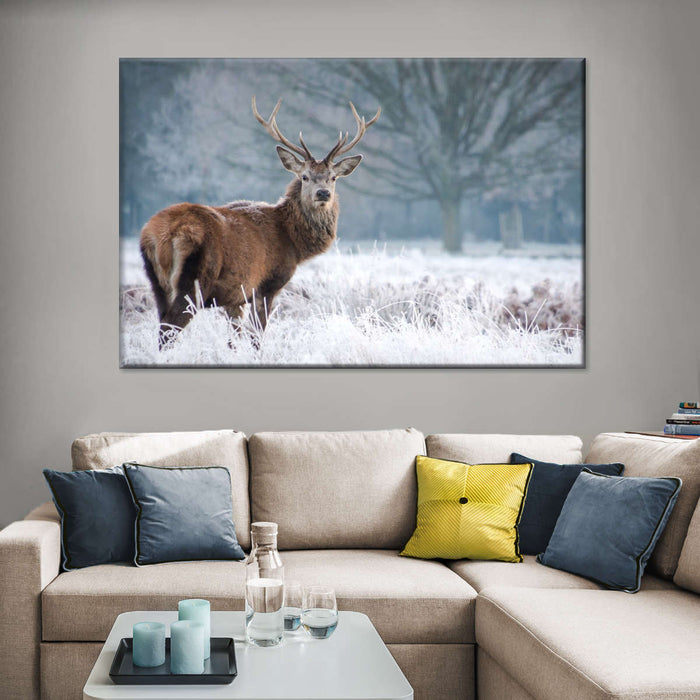 Deer Stare Wall Art