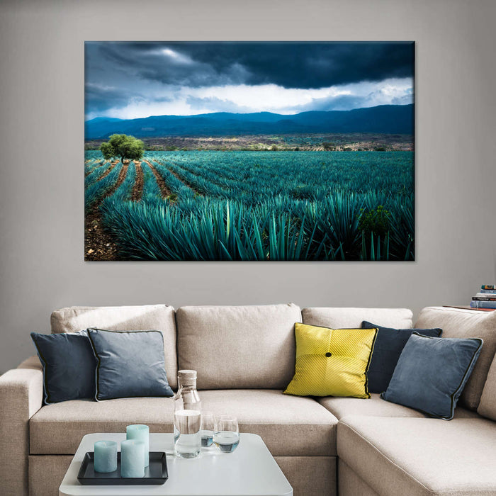 Agave Plantation At Morning Wall Art