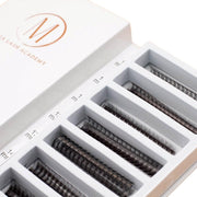 Mega Lash Academy Narrow 10D - Rapid Promade Fans® - 1050 Fans Promade Fans