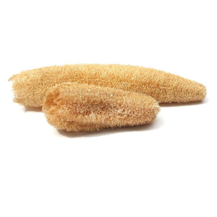 Lizzie'S All-Natural Products - Natural Luffa Sponge
