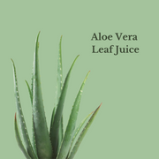 The Natural Rose Bulgarian Rose Vitamin Mist 4oz Toners & Astringents