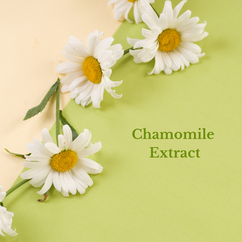 The Natural Rose Bulgarian Rose Vitamin Mist 4oz Toners & Astringents