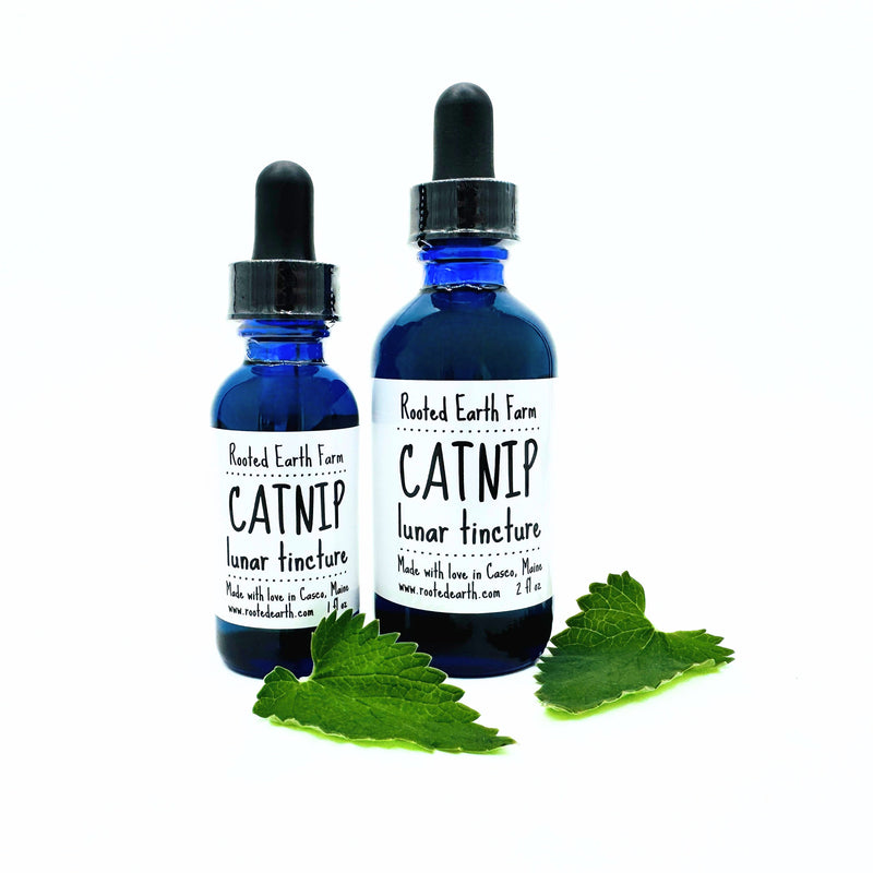 Rooted Earth Farm + Apothecary Catnip Tincture Tinctures + Capsules