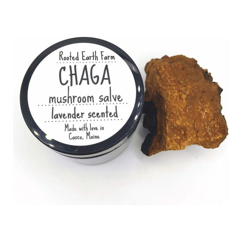 Rooted Earth Farm + Apothecary Chaga Salve Herbal Salves + Balms