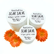 Rooted Earth Farm + Apothecary Scar Salve Herbal Salves + Balms