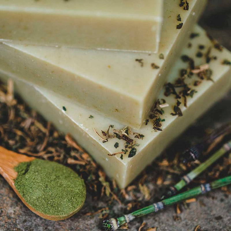 Chagrin Valley Soap & Salve Shampoo Bar: Nettle Shampoo Bar
