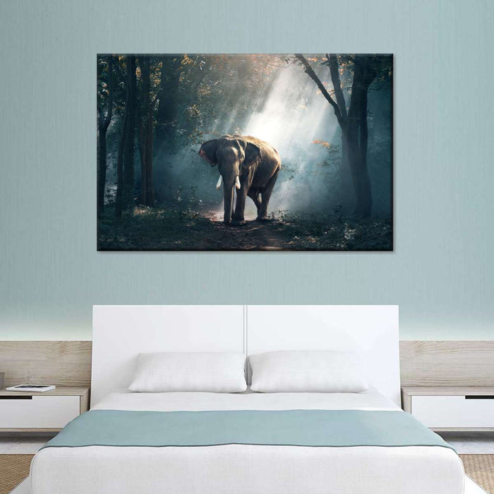 African Forest Elephant Wall Art