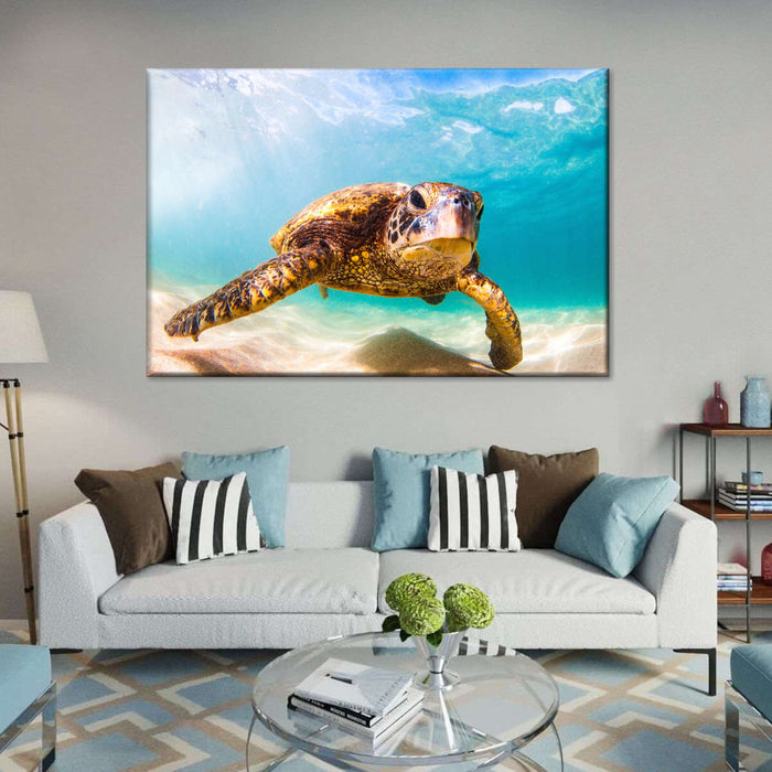 Hawaiian Turtle Wall Art