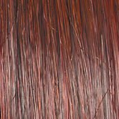VIP Extensions NEW! TOP BILLING 5″ by Raquel Welch Hair Topper