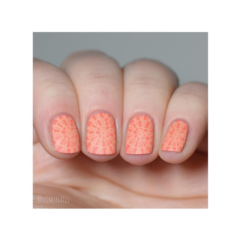 UberChic Beauty Seashells Aplenty Stamping Plate