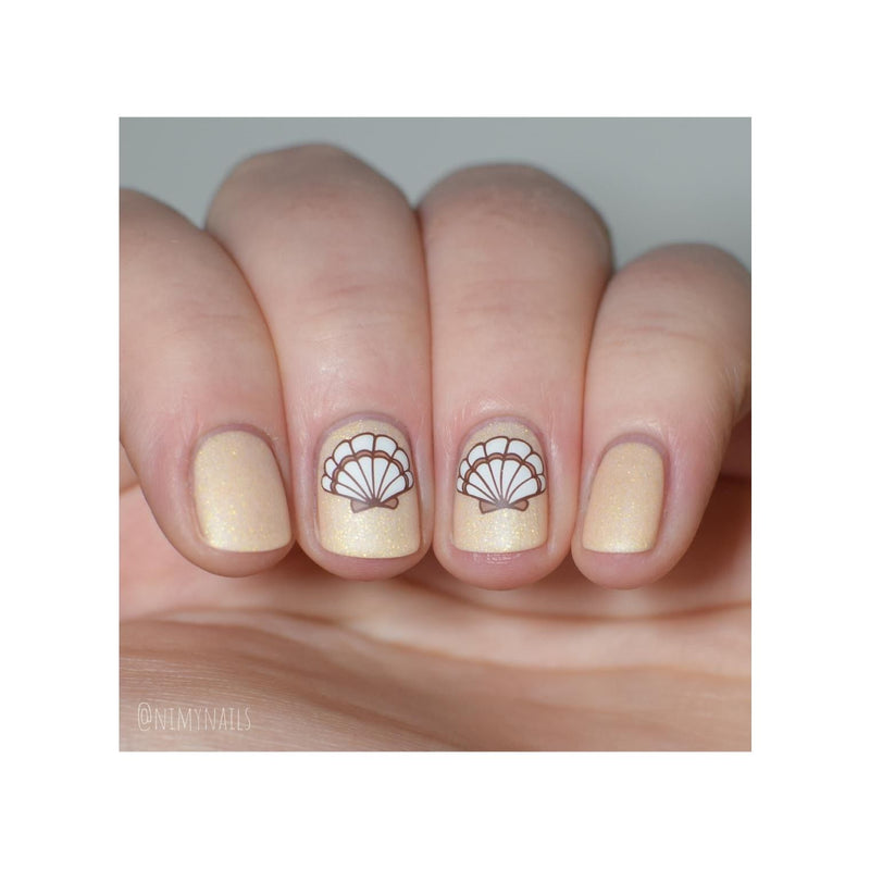 UberChic Beauty Seashells Aplenty Stamping Plate