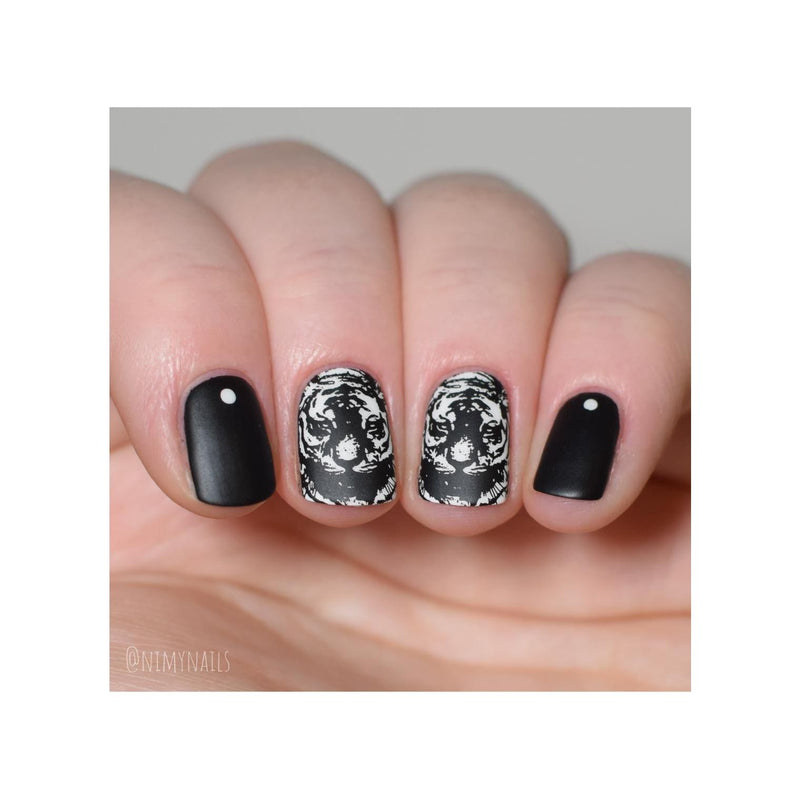 UberChic Beauty Wild & Fierce: Big Cats Stamping Plate