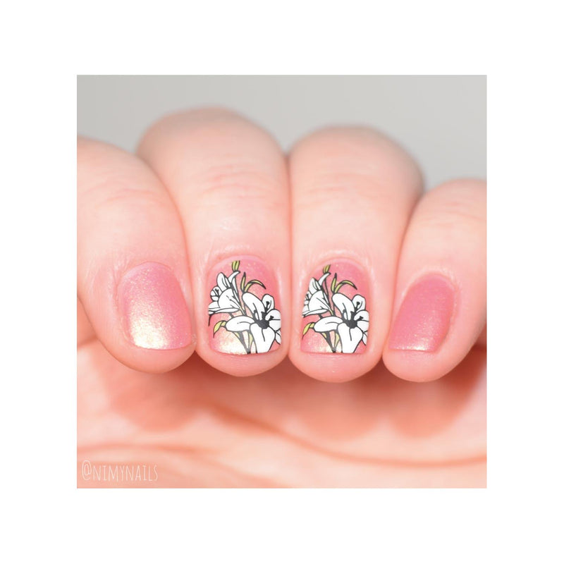 UberChic Beauty Flora & Fauna Stamping Plate