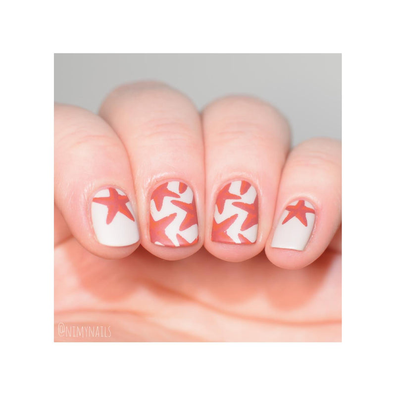 UberChic Beauty Seas The Day Stamping Plate