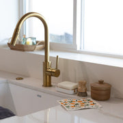 ZeroWasteStore.com Pot Scrubber - Eco Friendly Scrub Brush, Bamboo, Plastic Free, Compostable Household Cleaning Supplies