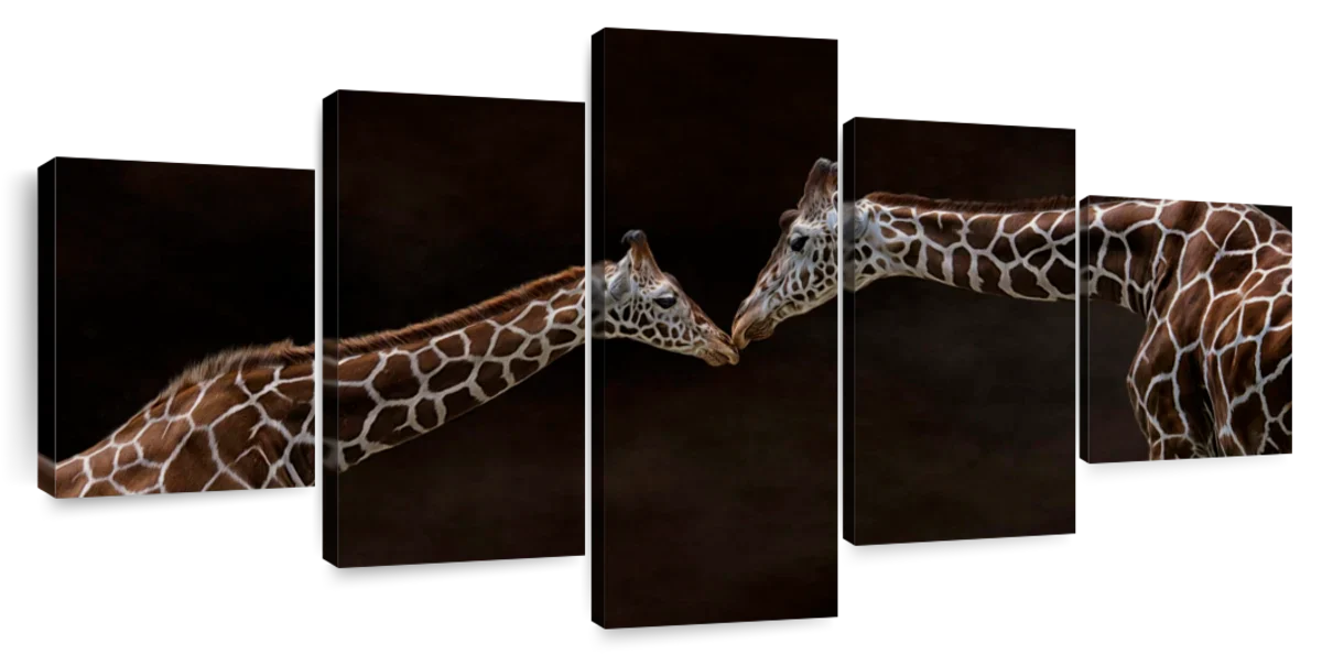 Giraffe Affection Wall Art