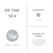 Slow North Mini Candle - 2 oz 2 oz Soy Candle