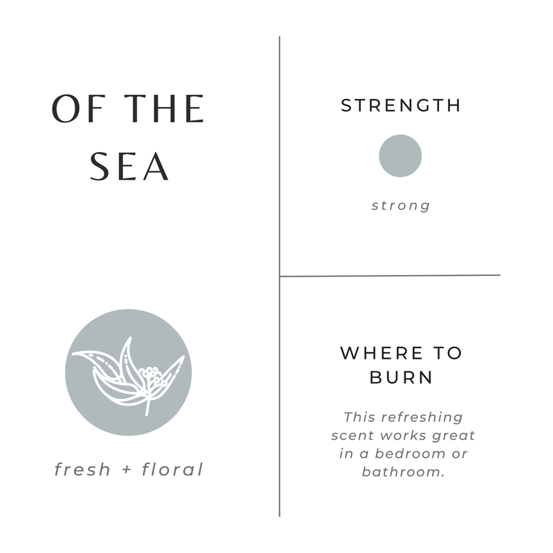 Slow North Mini Candle - 2 oz 2 oz Soy Candle