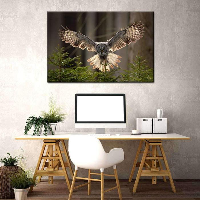 Flying Owl Wall Art