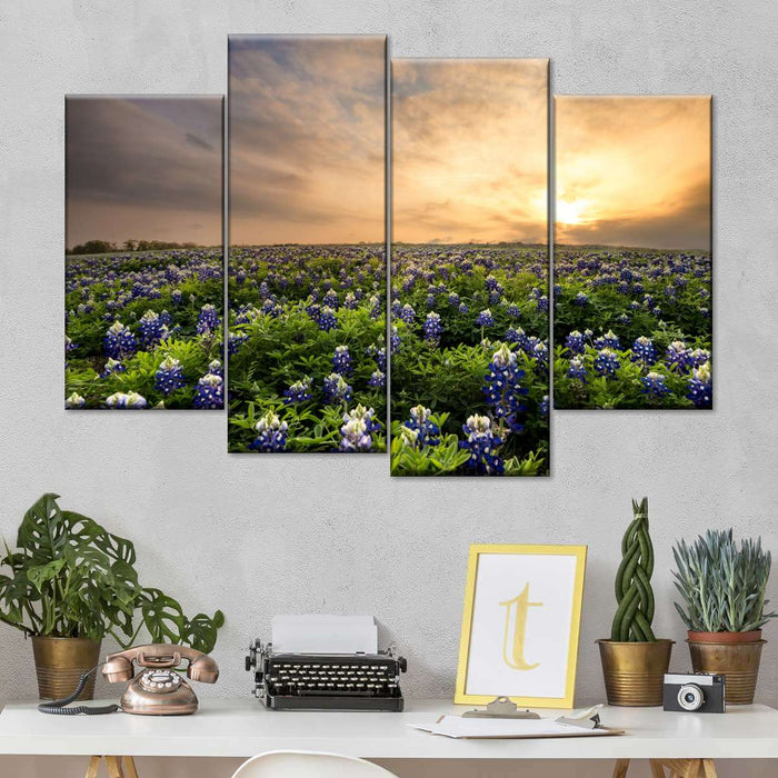 Bluebonnets At Sunset Wall Art