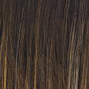 VIP Extensions ON THE GO -  10" Top Piece by Raquel Welch Hair Topper
