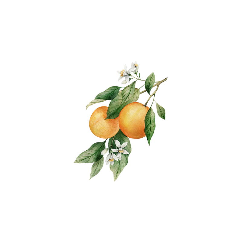 Rustic Strength Orange Essential Oil Scent