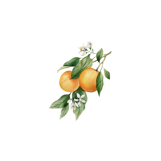 Rustic Strength Orange Essential Oil Scent