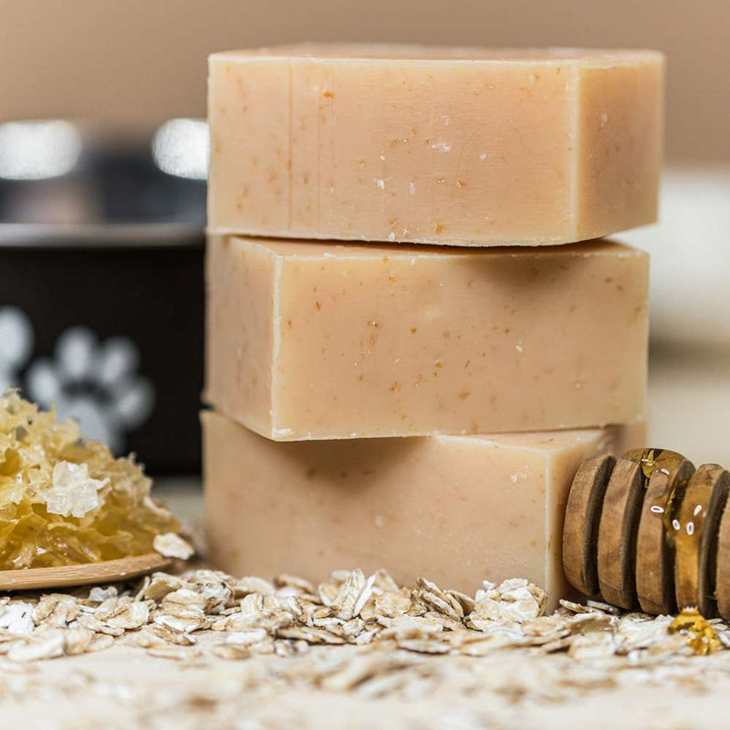 Chagrin Valley Soap & Salve Dog Shampoo: Honey & Oats Pets