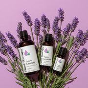 Plant Therapy Organic Lavender Essential Oil Essential Oil