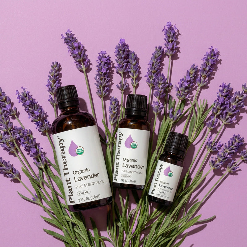 Plant Therapy Organic Lavender Essential Oil Essential Oil