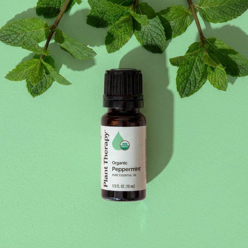 Plant Therapy Organic Peppermint Essential Oil Essential Oil