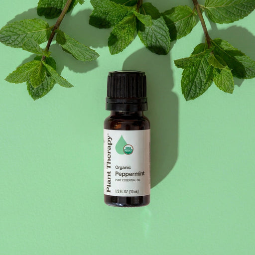 Plant Therapy Organic Peppermint Essential Oil Essential Oil