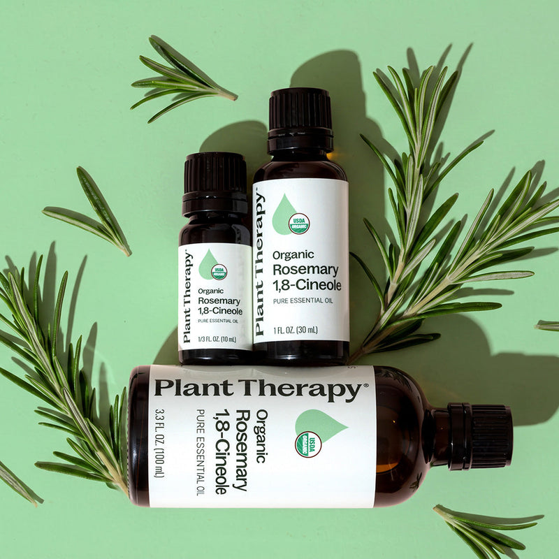 Plant Therapy Organic Rosemary 1,8-Cineole Essential Oil Essential Oil